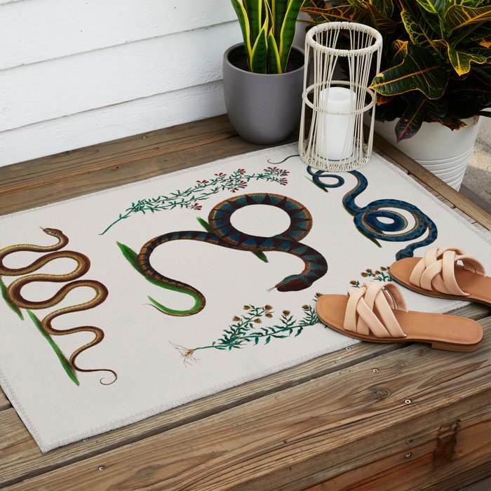 Albertus Seba Three Snakes And Floral Vines  Outdoor Rug Gallery Image 2