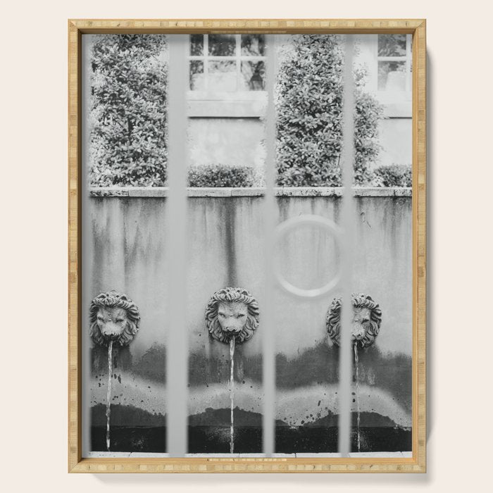 Charleston Courtyard Black and White Photography  Serving Tray Gallery Image 1
