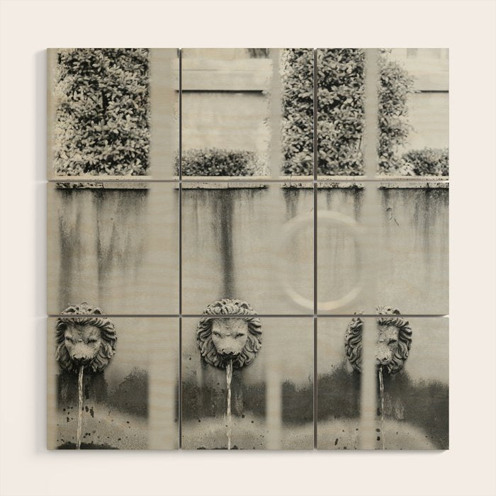 Charleston Courtyard Black and White Photography  Wood Wall Art Gallery Image 1