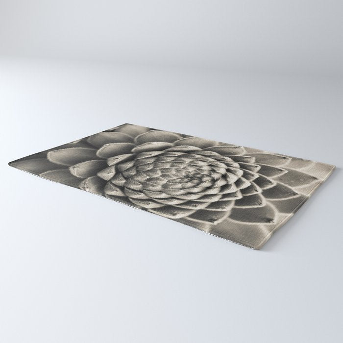 Sempervivum Study Black and White - Succulent photograph - houseplant botanical print Rug Gallery Image 3