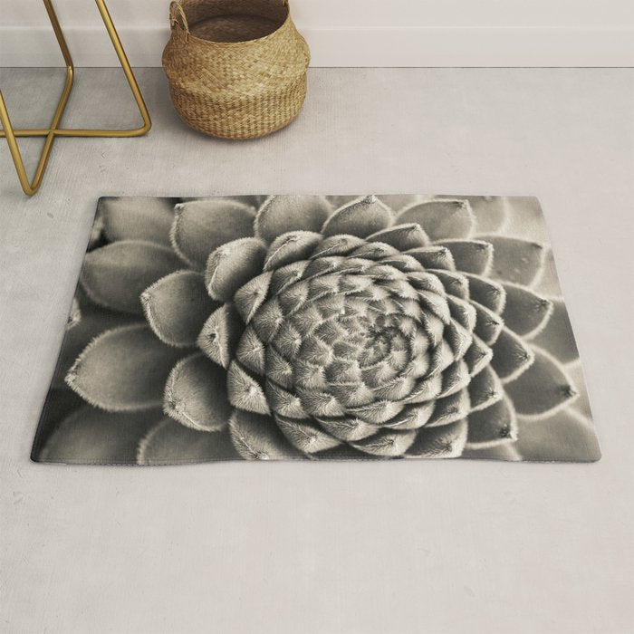 Sempervivum Study Black and White - Succulent photograph - houseplant botanical print Rug Gallery Image 1