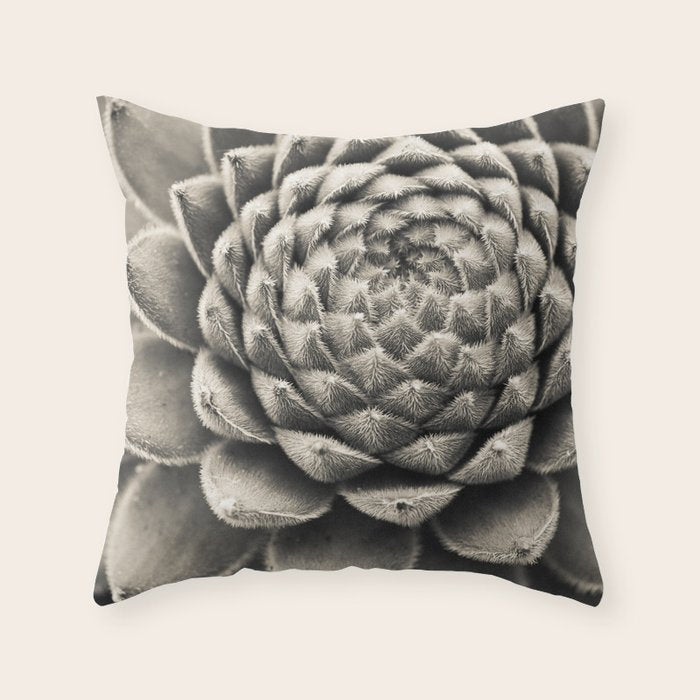 Sempervivum Study Black and White - Succulent photograph - houseplant botanical print Throw Pillow Gallery Image 1