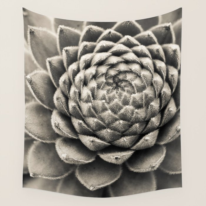 Sempervivum Study Black and White - Succulent photograph - houseplant botanical print Wall Tapestry Gallery Image 4