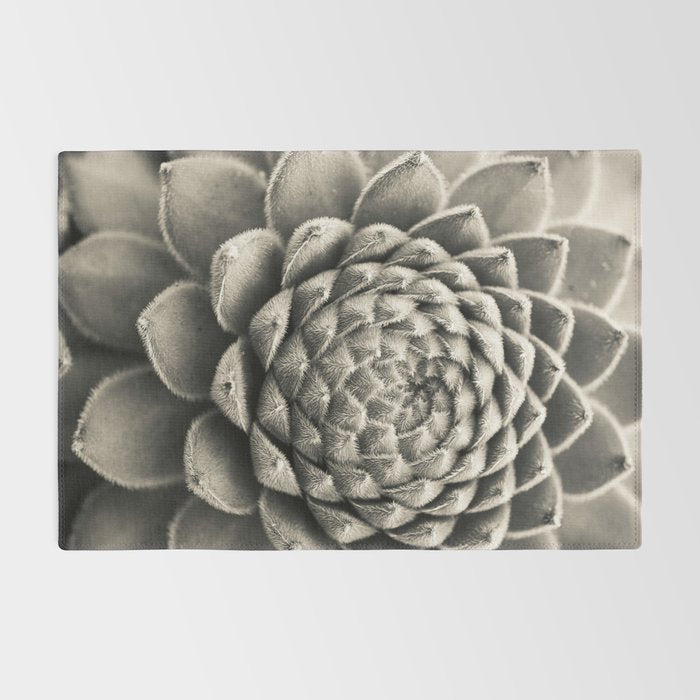 Sempervivum Study Black and White - Succulent photograph - houseplant botanical print Rug Gallery Image 2