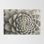 Sempervivum Study Black and White - Succulent photograph - houseplant botanical print Rug Gallery Image 2