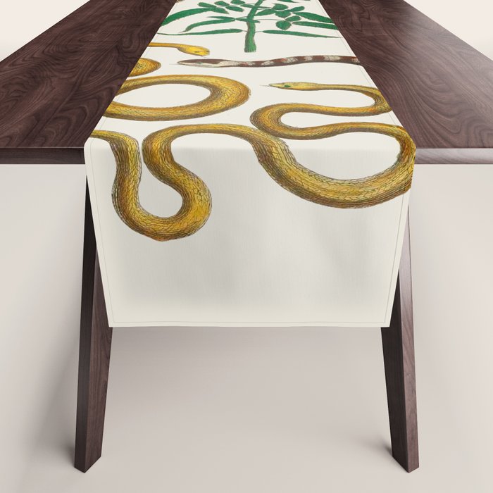 Vipers Aspis hugyi Serpentes Shinus molle Poster Print by Albertus SEBA Table Runner Gallery Image 1