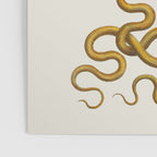 Vipers Aspis hugyi Serpentes Shinus molle Poster Print by Albertus SEBA Poster Gallery Image 3