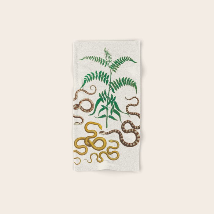 Vipers Aspis hugyi Serpentes Shinus molle Poster Print by Albertus SEBA Bath Towel Gallery Image 1
