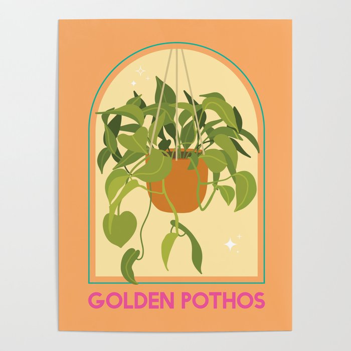 Golden Pothos Houseplant Poster Gallery Image 4