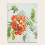 Panneaux de Fleurs  1900 Watercolor Geranium Illustration Notebook Gallery Image 4