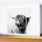 HIGHLAND CATTLE FRIDA Wall Mural Gallery Image 2
