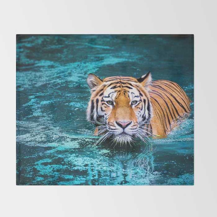 Tiger in Water Throw Blanket Gallery Image 2
