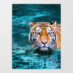 Tiger in Water Poster Gallery Image 4