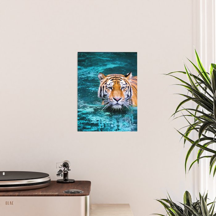 Tiger in Water Poster Gallery Image 2
