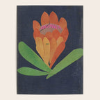 Protea Poster Gallery Image 4