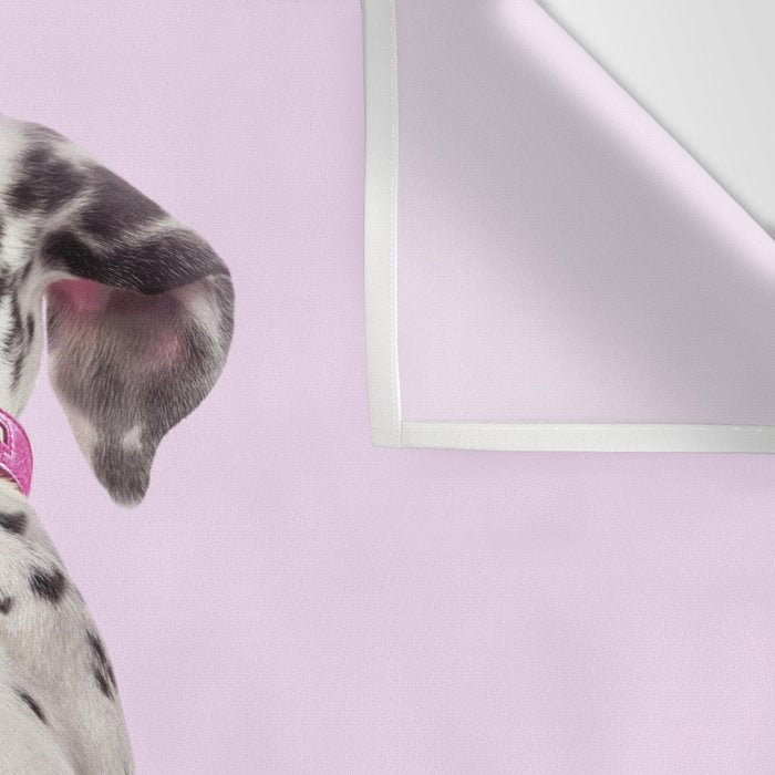 DALMATIAN Wall Tapestry Gallery Image 3