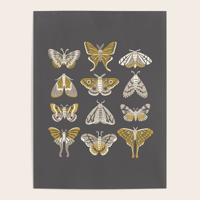 Moths Poster Gallery Image 4