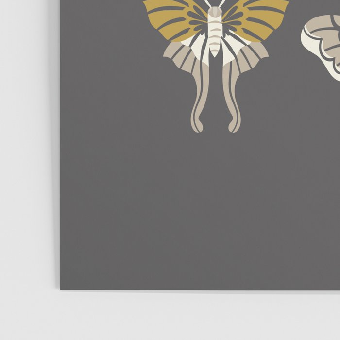 Moths Poster Gallery Image 3