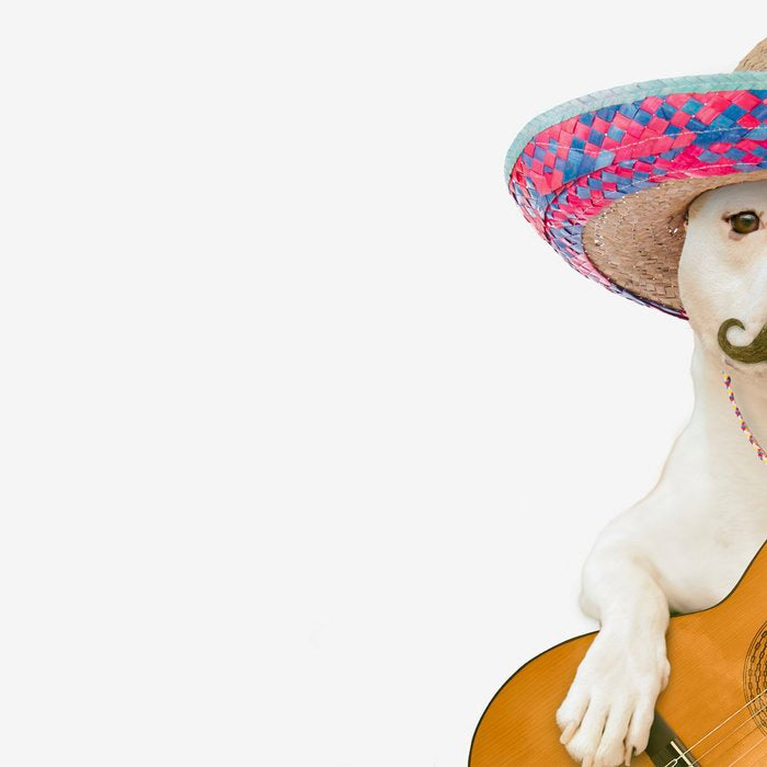 TITO PANCHITO Coffee Mug Gallery Image 2