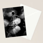 Ballerinas getting ready for the big performance black and white photograph - photographs Stationery Card Gallery Image 2