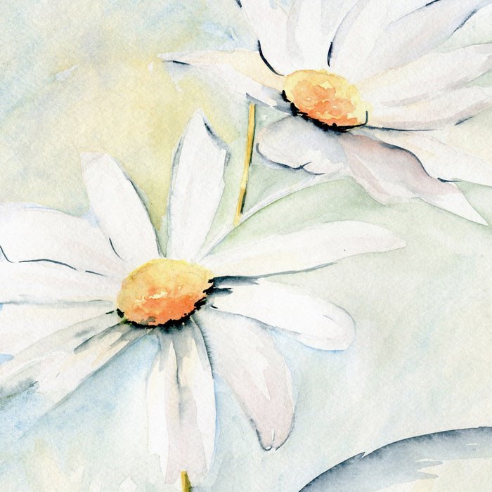 White Daisies Coffee Mug Gallery Image 2