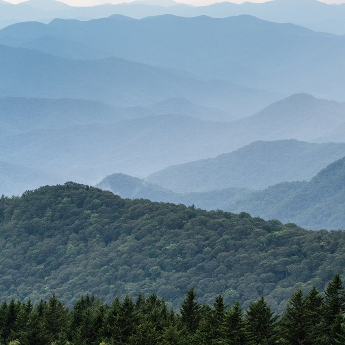 Smoky Mountain National Park -  Summer Adventure Coffee Mug Gallery Image 2