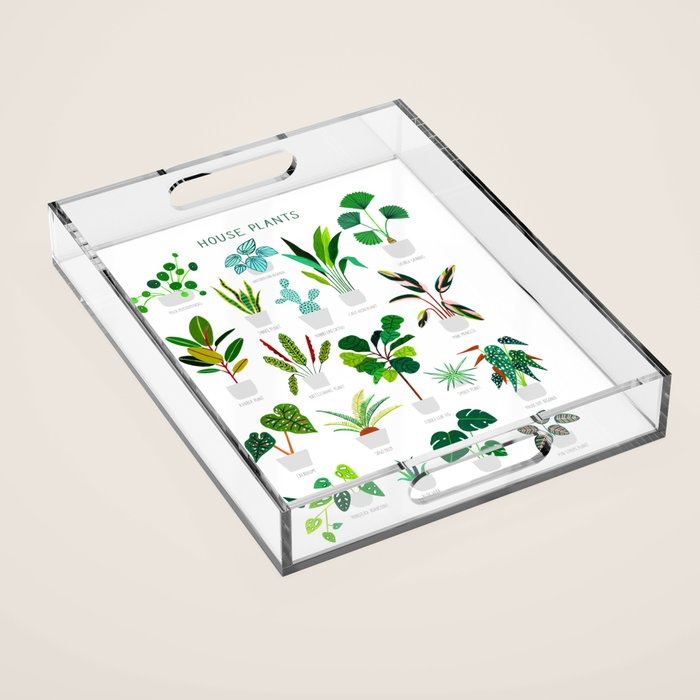 House Plants  Acrylic Tray Gallery Image 1