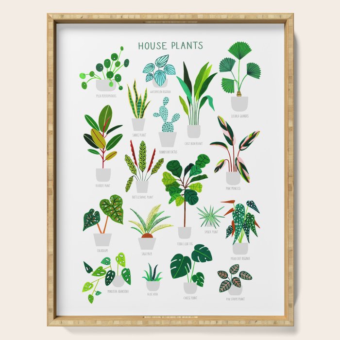 House Plants  Serving Tray Gallery Image 1