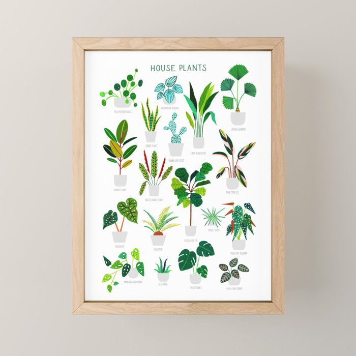 House Plants  Mini Art Print Gallery Image 1
