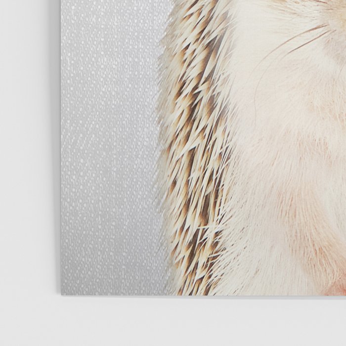 Hedgehog - Colorful Poster Gallery Image 3