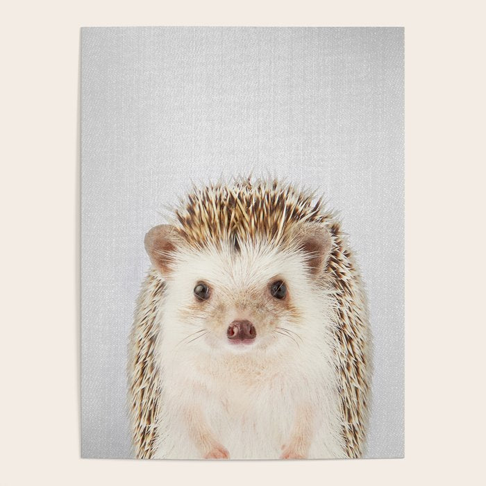 Hedgehog - Colorful Poster Gallery Image 4