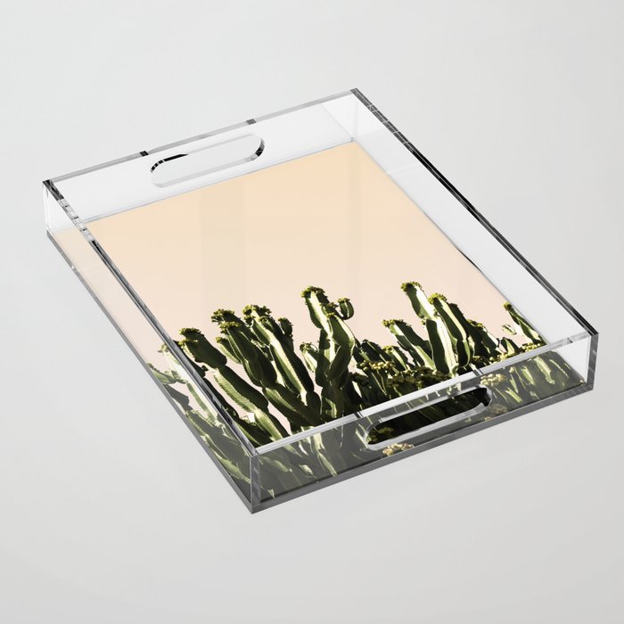 cactus nature x Acrylic Tray Gallery Image 1