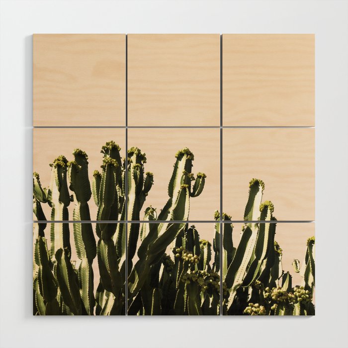 cactus nature x Wood Wall Art Gallery Image 1