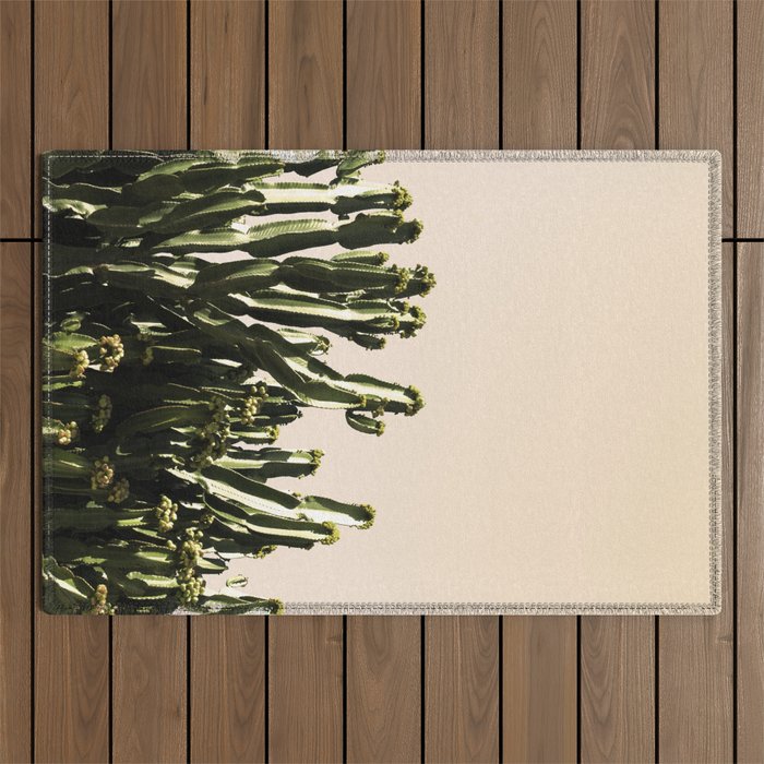 cactus nature x Outdoor Rug Gallery Image 1
