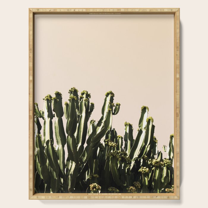 cactus nature x Serving Tray Gallery Image 1