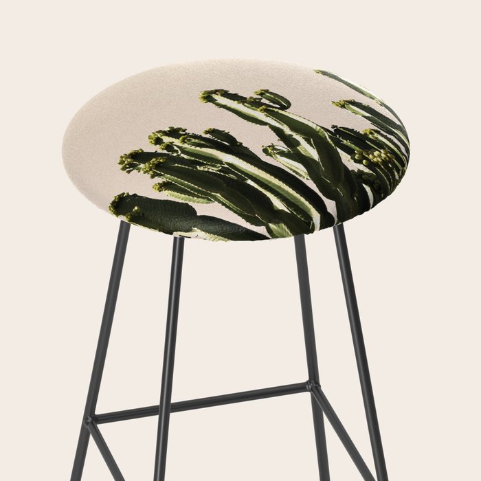 cactus nature x Stool Gallery Image 2