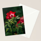 Alpine Rose Stationery Card Gallery Image 2