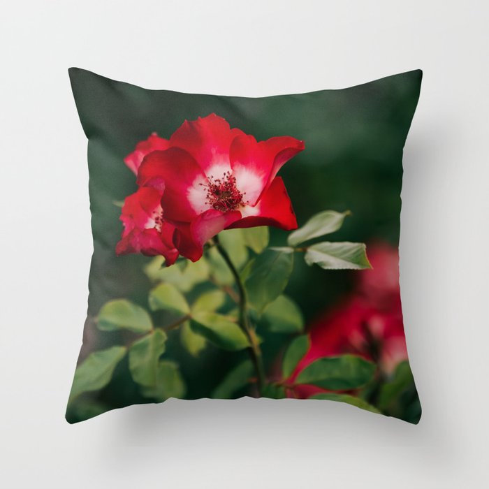 Alpine Rose Throw Pillow Gallery Image 6
