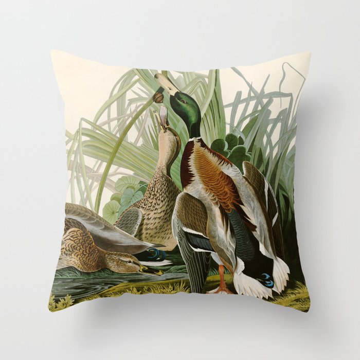 Mallard Duck - John James Audubon Birds of America Throw Pillow Gallery Image 6