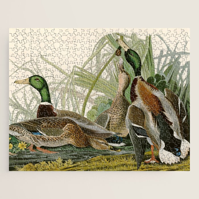 Mallard Duck - John James Audubon Birds of America Jigsaw Puzzle Gallery Image 1