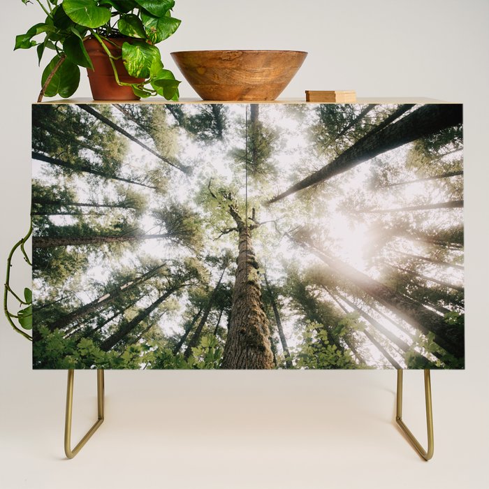 Looking Up Credenza Gallery Image 1