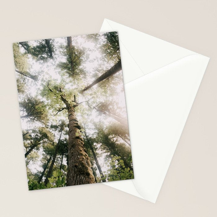 Looking Up Stationery Card Gallery Image 2