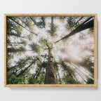 Looking Up Serving Tray Gallery Image 1