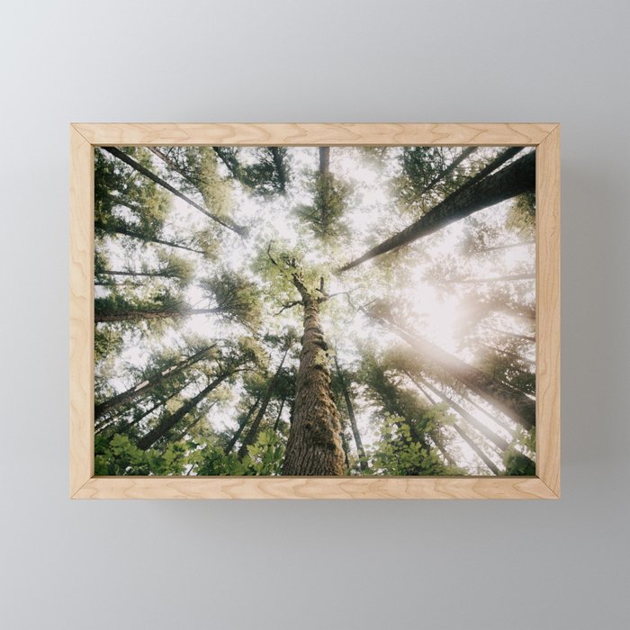 Looking Up Mini Art Print Gallery Image 1