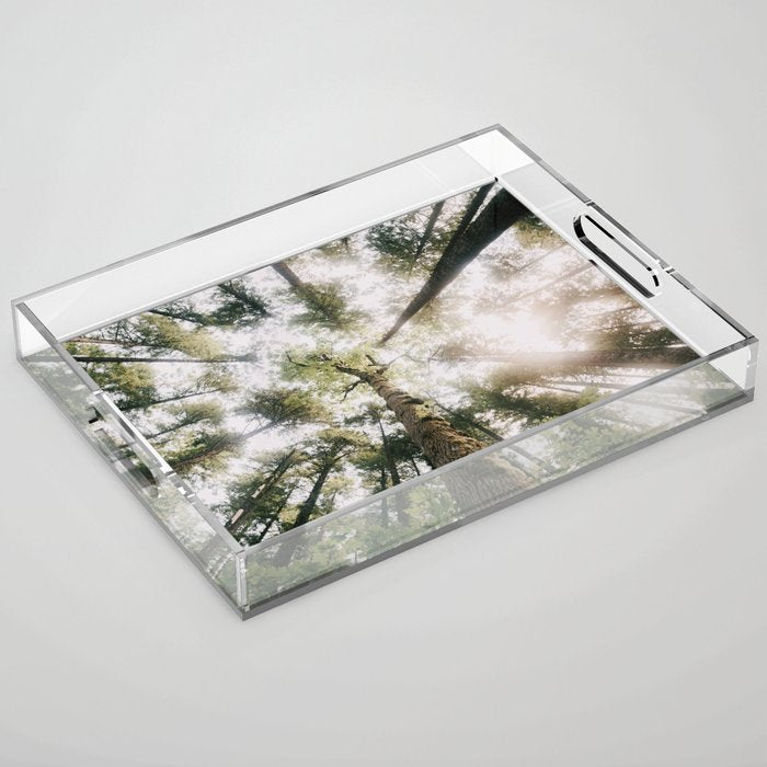 Looking Up Acrylic Tray Gallery Image 1