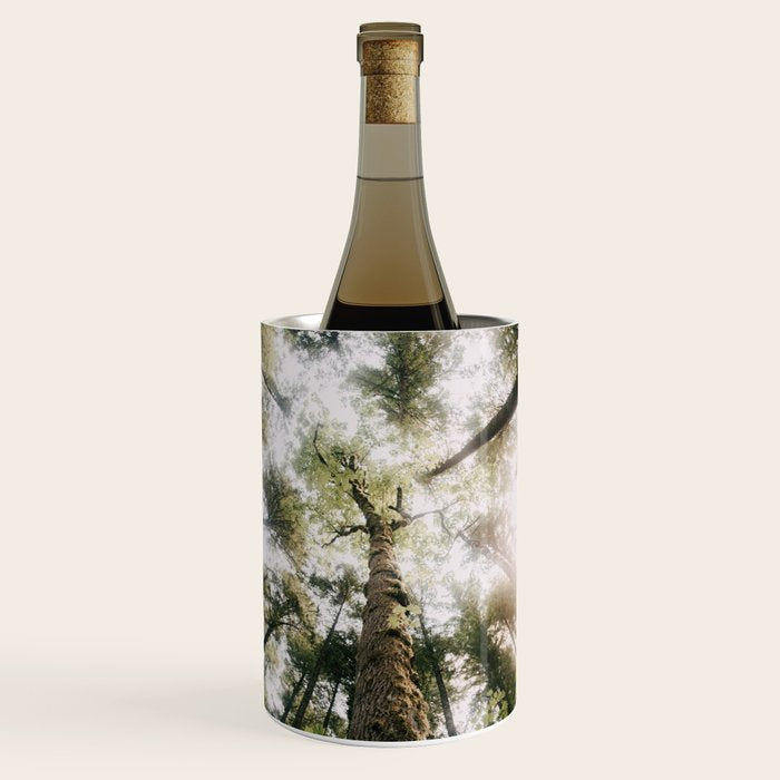 Looking Up Wine Chiller Gallery Image 1