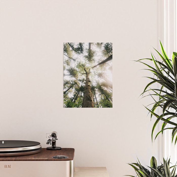 Looking Up Poster Gallery Image 2