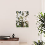Looking Up Poster Gallery Image 2