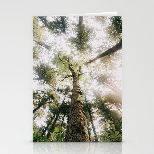 Looking Up Stationery Card Gallery Image 1