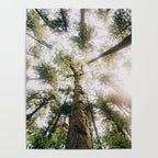 Looking Up Poster Gallery Image 4
